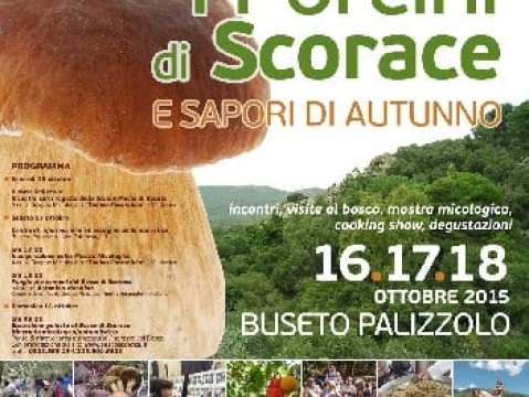 BUSETO PALIZZOLO: I PORCINI DI SCORACE