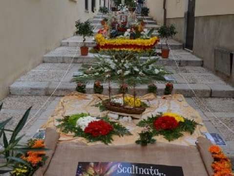 TRAPANI:Prima edizione della “SCALINATA in FIORE” 2011