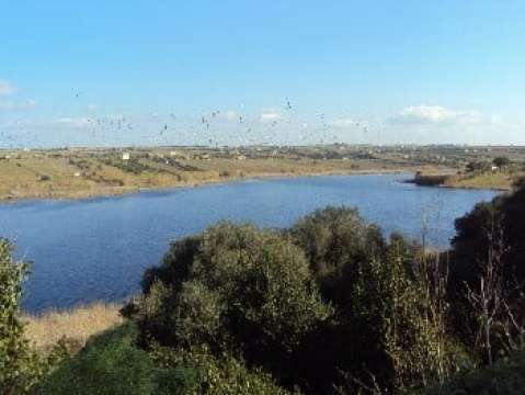 RISERVA NATURALE – MAZARA DEL VALLO