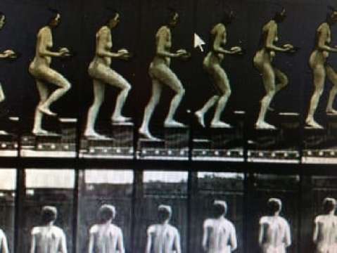 ACIREALE: EADWEARD MUYBRIDGE