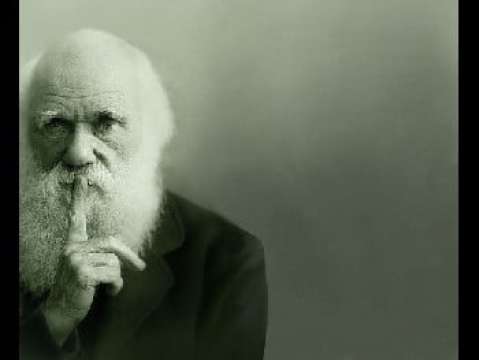 Happy Darwin Day!